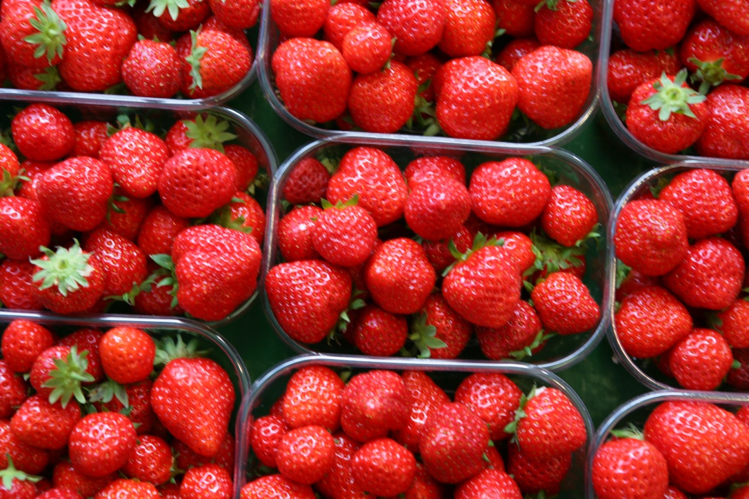 Comme une envie de fraise ! Comme une envie de fraise !
